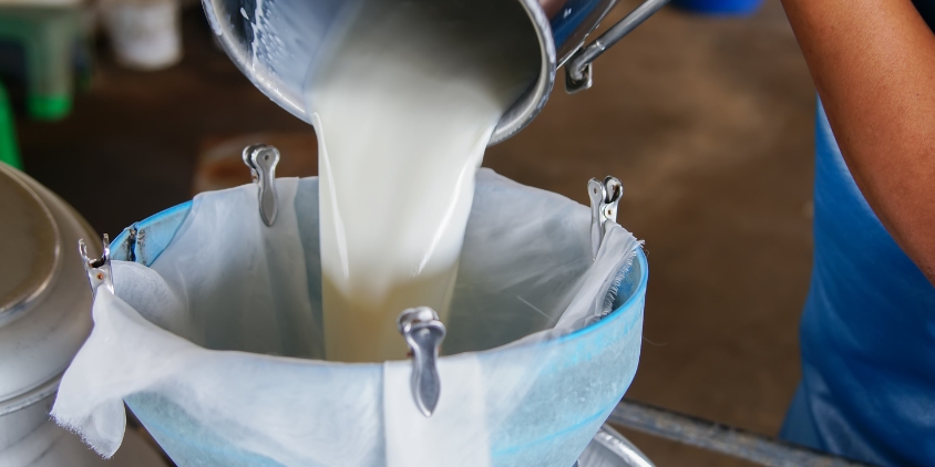 raw milk