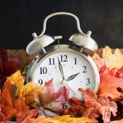 Clock and leaves