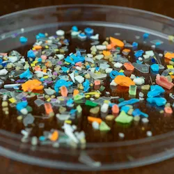 microplastics