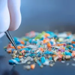 Microplastics